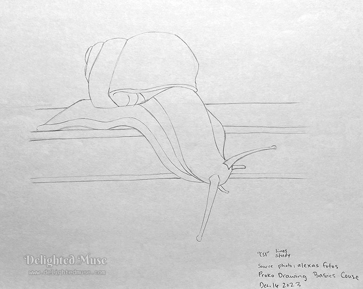 A simple line drawing of a snail crawling on a flat surface, with notes in the margin that it is from the Proko Drawing Basics Course CSI Line project, the source photo is by Alexas Fotos. Dated December 16, 2023.