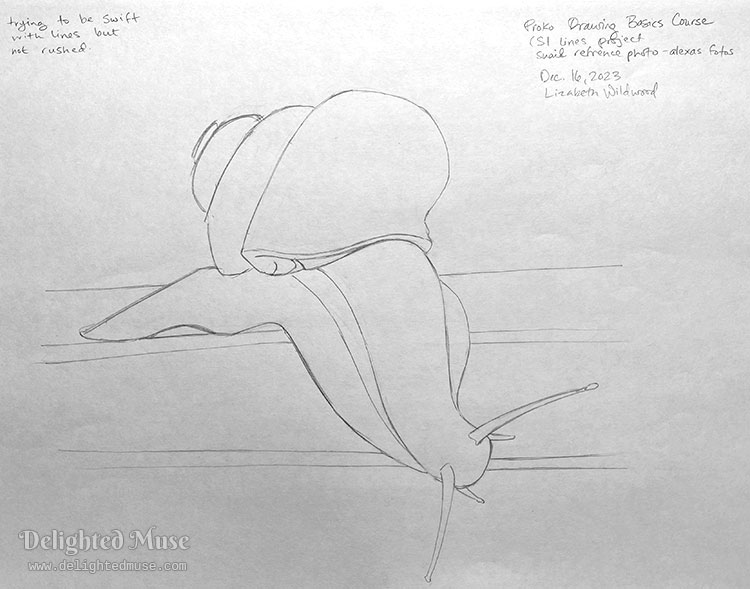 A simple line drawing of a snail crawling on a flat surface, with notes in the margin that it is from the Proko Drawing Basics Course CSI Line project, the reference photo is by Alexas Fotos, and that I was trying to be swift with lines but not rushed. Dated Dec 16, 2023 and signed Lizabeth Wildwood.