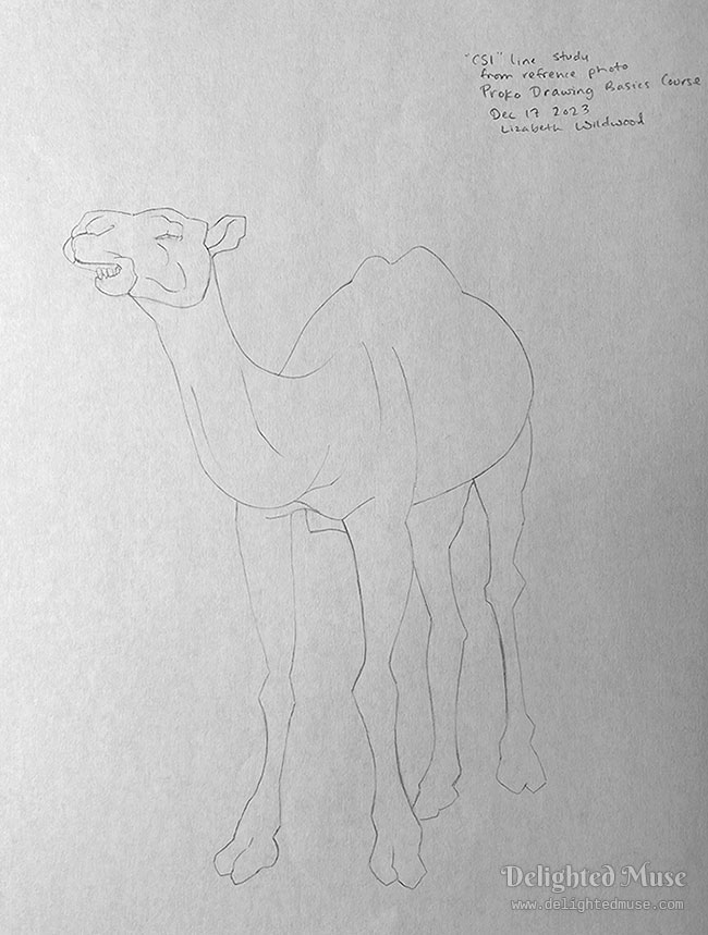 A simple line drawing of a camel. The margin notes state it's a CSI line study from the Proko Drawing Basics Course. Dated Dec 17, 2023 and signed Lizabeth Wildwood.