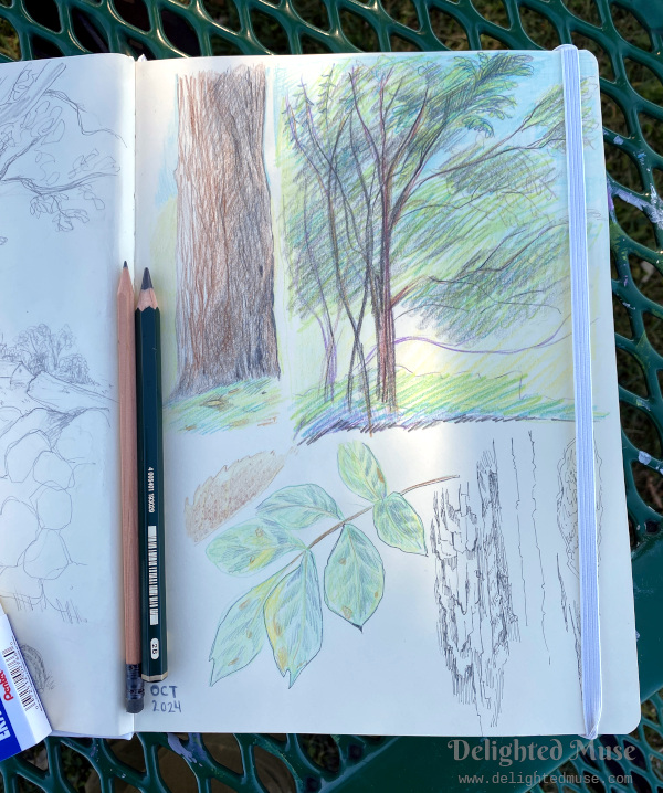 A sketchbook page with color pencil drawings of trees, bark, and leaves. In the lower right corner is an ink drawing study of bark texture.