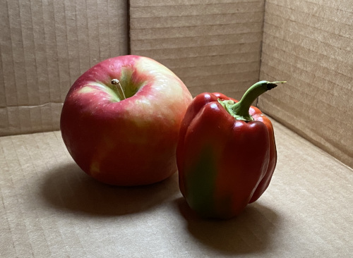 A red apple and a red bell pepper inside a cardboard box. There is harsh bright light from above, with strong shadows to the left.