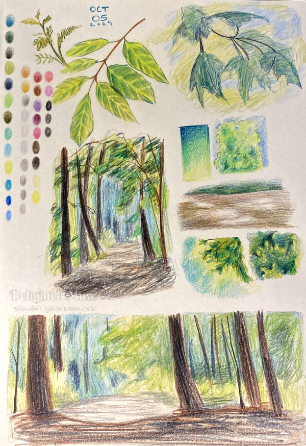 A sketchbook page showing circular swatches of colored pencils, leaves on branches, tree textures, and two studies of a forest path.