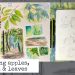 A college of two sketchbook pages, one showing studies of leaves and forest scenes, and the other graphite pencil sketches of an apple and bell pepper.