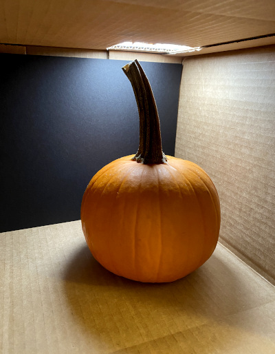 A small pumpkin lit from above, inside a cardboard box turned on its side.