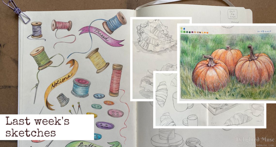 A collage of drawings: one of sewing notions in color pencil, one of three pumpkins in color pencil, one of seashells in graphite, and one of croissants and coffee in graphite.